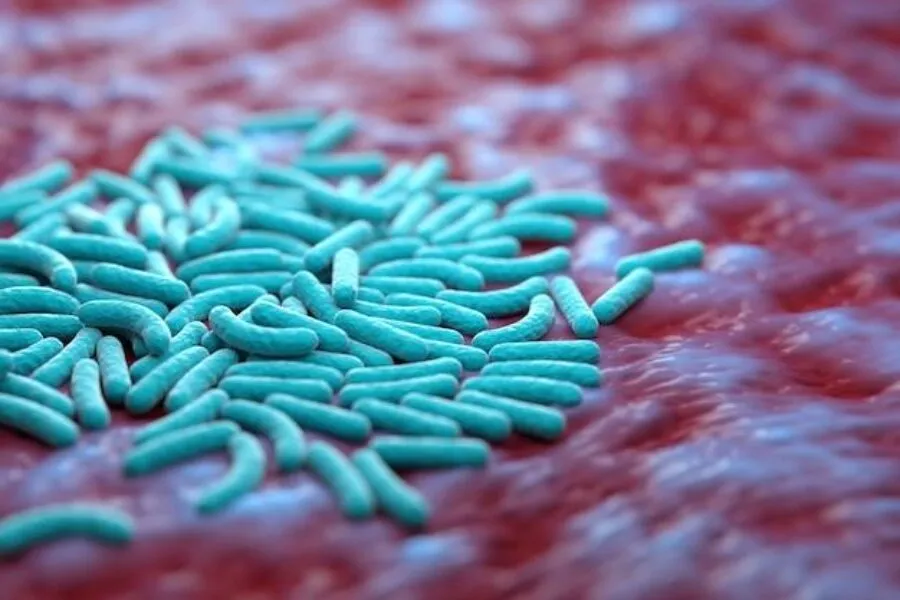 Salmonella u dzieci: Jakie są objawy i kiedy szukać pomocy?