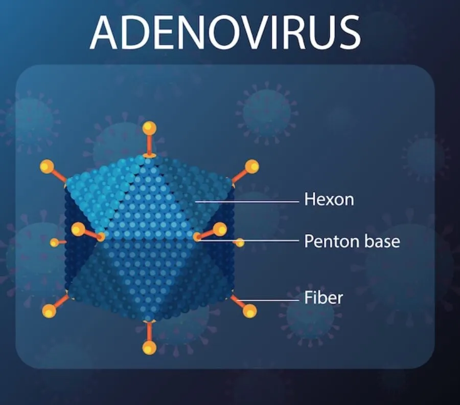 Adenowirus u dzieci – wszystko, co musisz wiedzieć o objawach, zakażeniu i profilaktyce